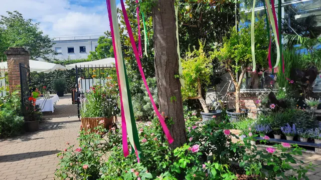 Foto: Kristin Hätterich