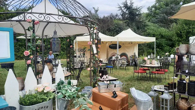 Foto: Kristin Hätterich