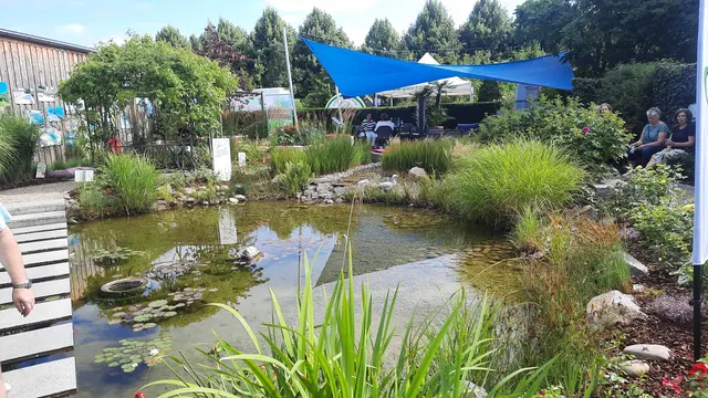 Foto: Kristin Hätterich