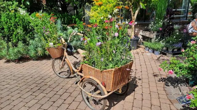 Foto: Kristin Hätterich