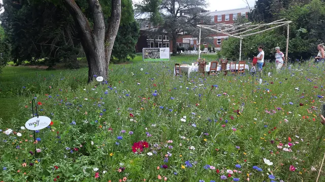 Foto: Kristin Hätterich