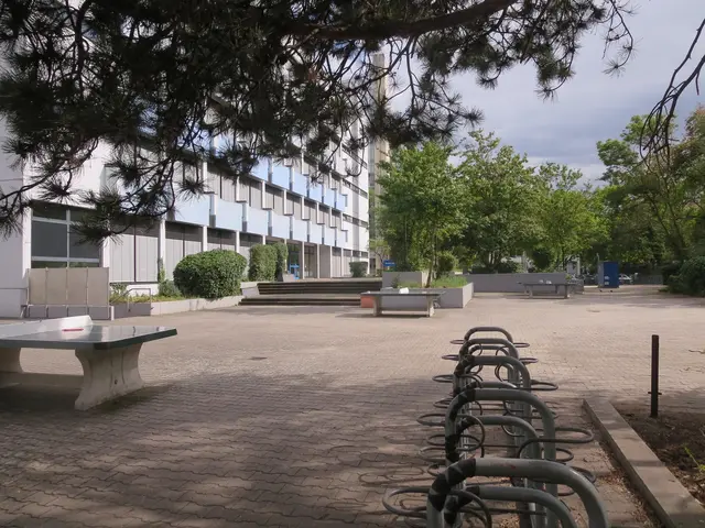 Der Schulhof des Heinrich-Böll-Gymnasiums. Gebäude und Betonbeete stammen aus den 70ern. | Foto: Julia Glöckner