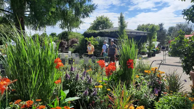 Foto: Kristin Hätterich