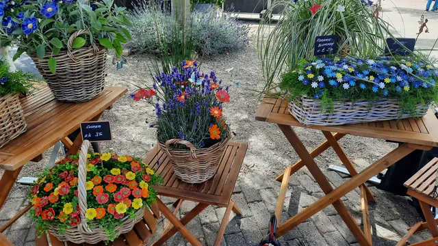 Foto: Kristin Hätterich