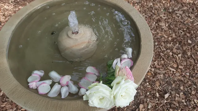 Foto: Kristin Hätterich