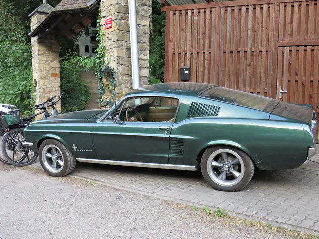 Ein Mustang am Badehaisel | Foto: Brigitte Melder