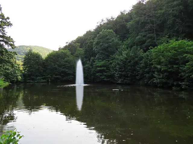 Fontäne im See | Foto: Brigitte Melder