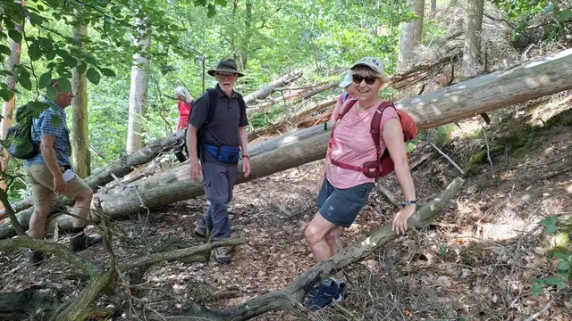 Hindernislauf | Foto: Ich