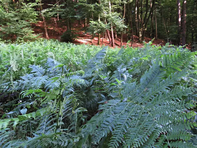 Foto: Brigitte Melder