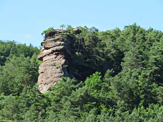 Foto: Brigitte Melder