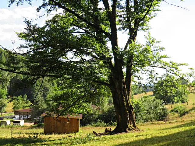 Foto: Brigitte Melder