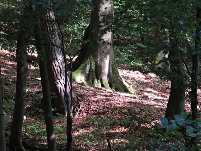 Foto: Brigitte Melder