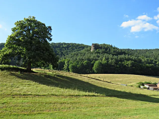 Foto: Brigitte Melder