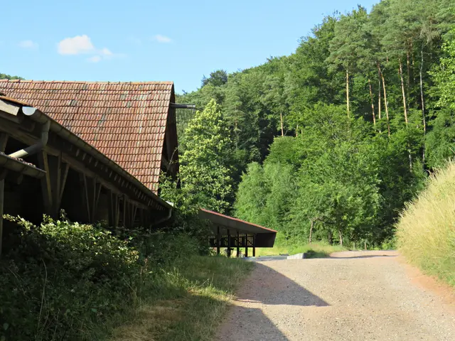 Foto: Brigitte Melder