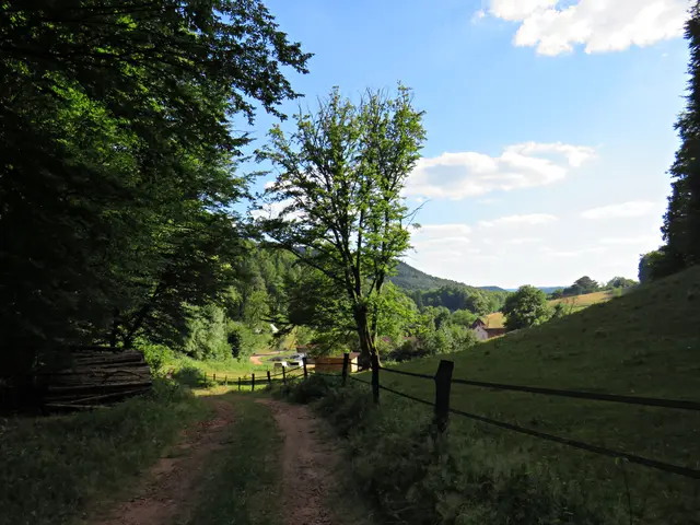 Foto: Brigitte Melder