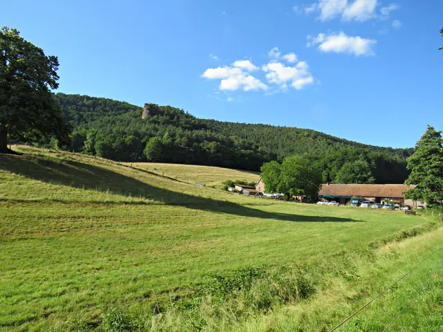 Foto: Brigitte Melder