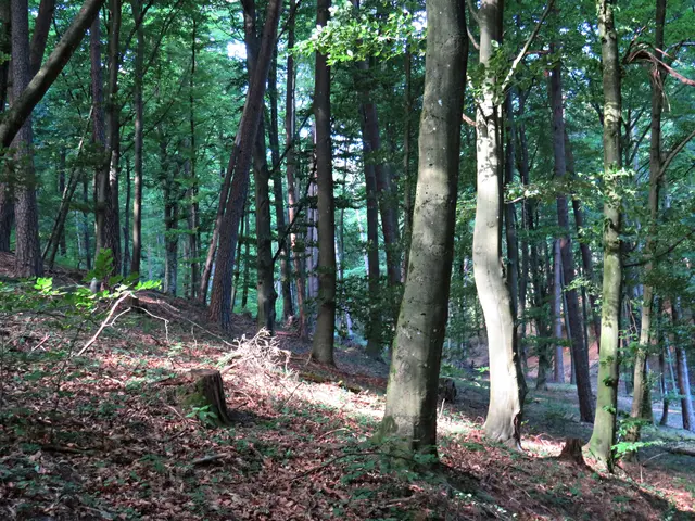 Foto: Brigitte Melder