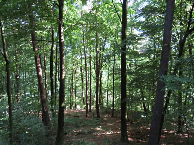 Foto: Brigitte Melder