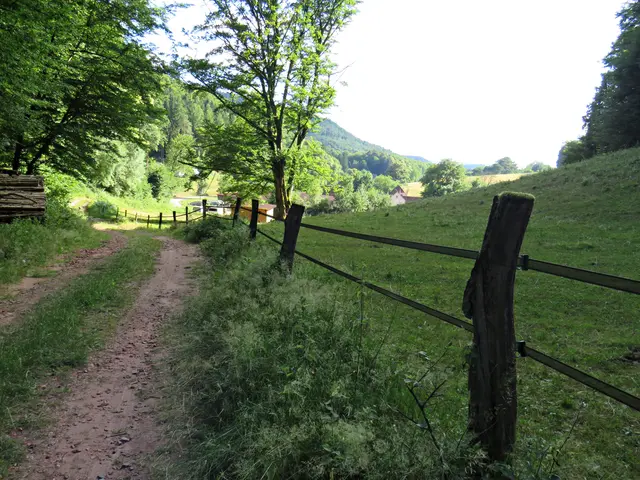 Foto: Brigitte Melder