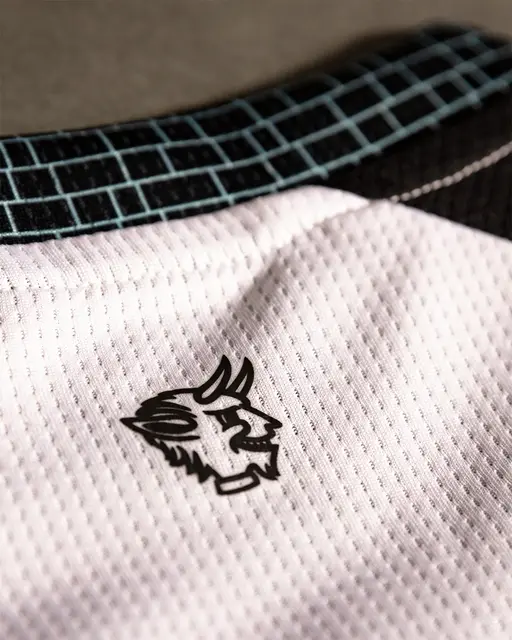 Foto: 1. FC Kaiserslautern