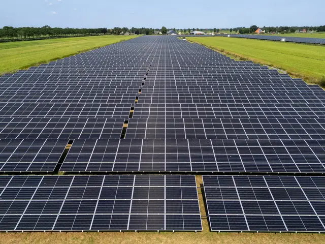 SGD Süd gibt grünes Licht im Zielabweichungsverfahren für eine Freiflächen-Photovoltaikanlage in Neustadt an der Weinstraße (Symbolbild) | Foto: MyStockVideo/stock.adobe.com