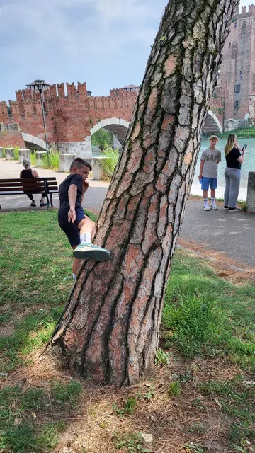 Moritz beim Bäume fällen | Foto: VIKINGS MUAY THAI e.V.