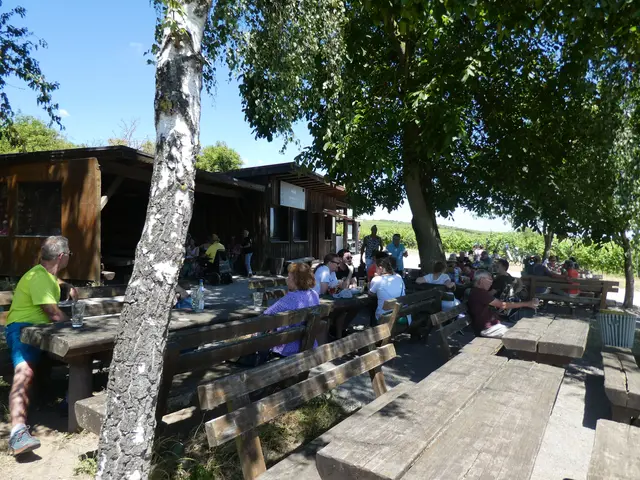 Weinwanderhütte | Foto: Ich