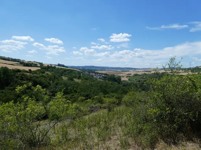 Aussicht vom Eistalblick | Foto: Ich