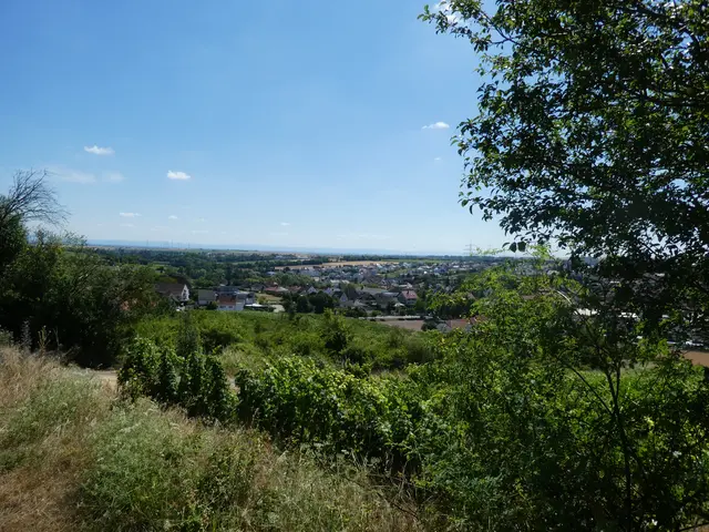 Aussicht | Foto: Ich