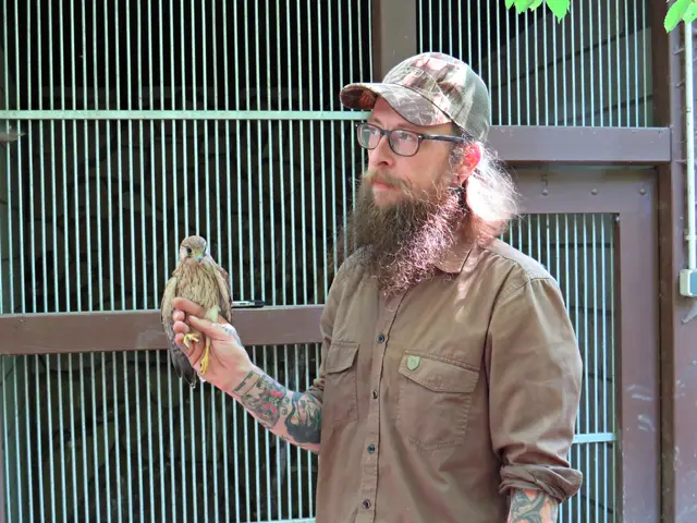 Maik Heublein, Stationsleiter und anerkannter Falkner des NABU Haßloch | Foto: Brigitte Melder