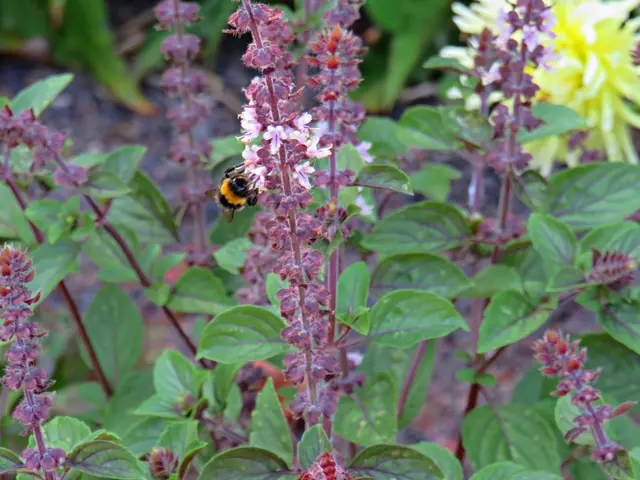 Foto: Brigitte Melder