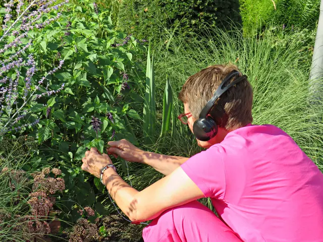 Foto: Brigitte Melder