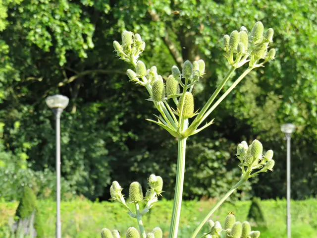 Foto: Brigitte Melder