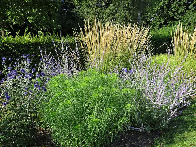 Foto: Brigitte Melder