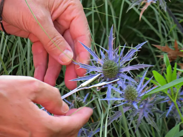 Foto: Brigitte Melder