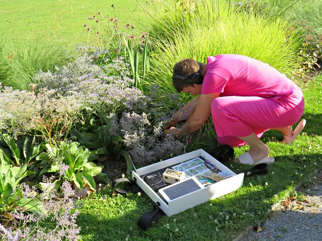 Foto: Brigitte Melder