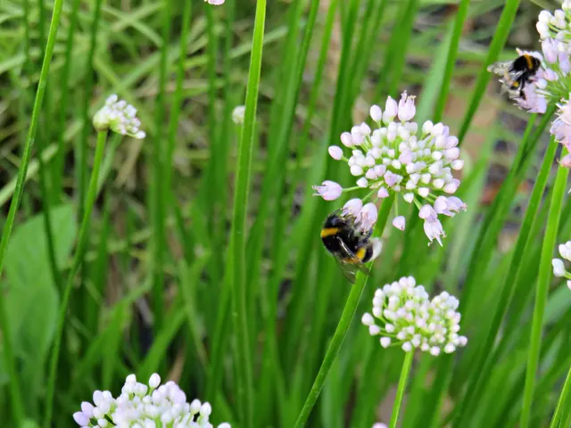 Foto: Brigitte Melder