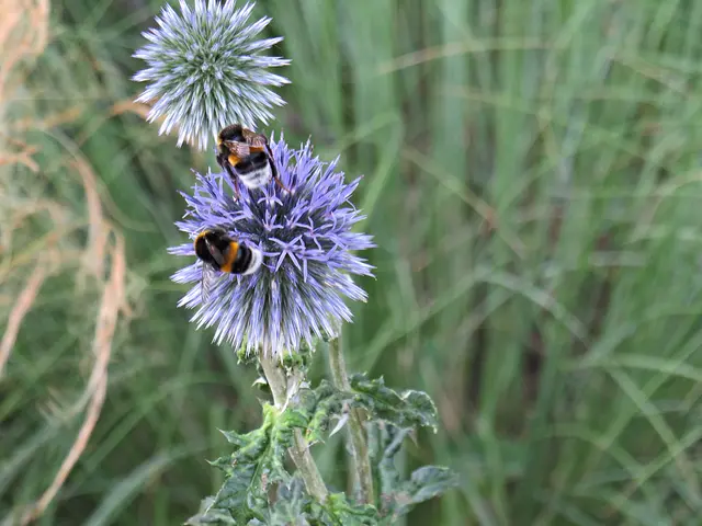 Foto: Brigitte Melder