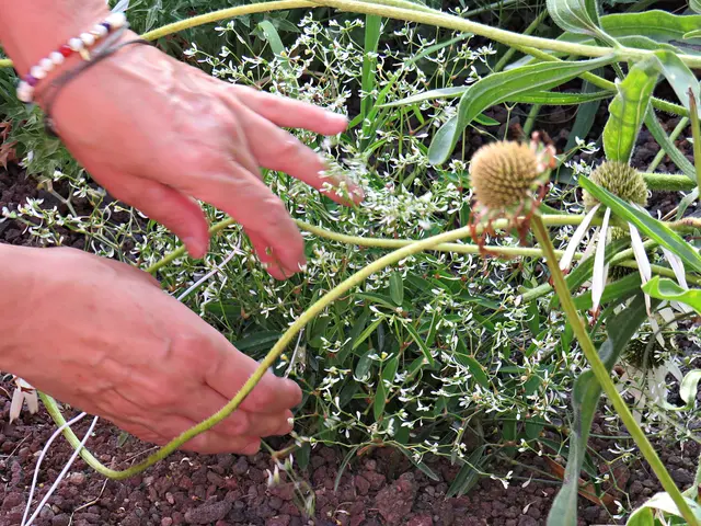 Foto: Brigitte Melder