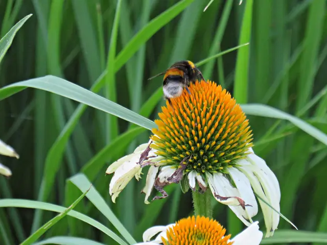 Foto: Brigitte Melder