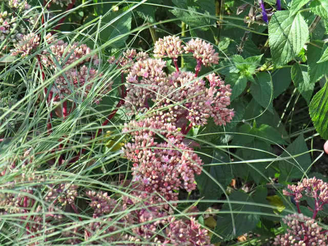 Foto: Brigitte Melder