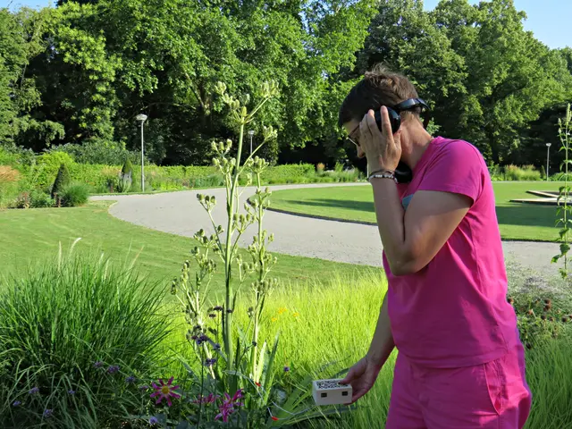 Foto: Brigitte Melder