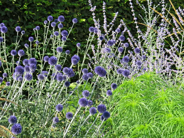 Foto: Brigitte Melder