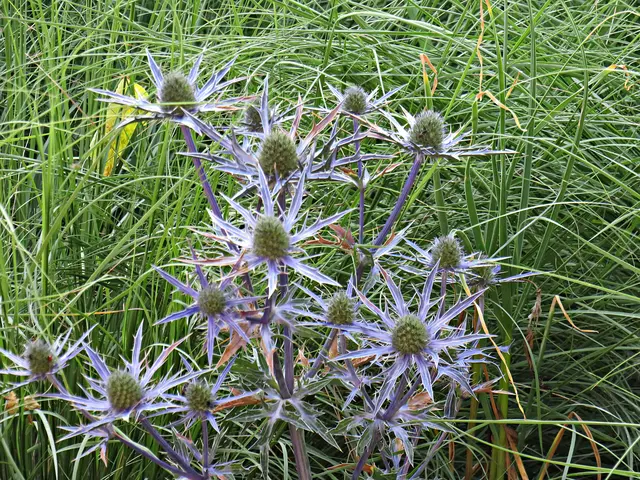 Foto: Brigitte Melder