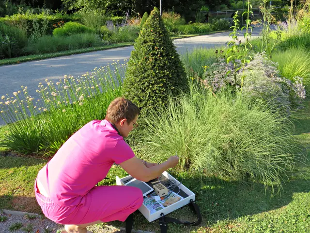 Foto: Brigitte Melder