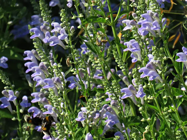 Foto: Brigitte Melder