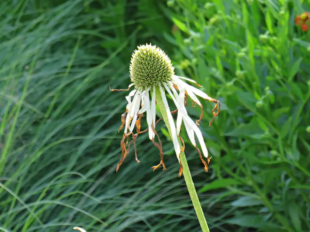 Foto: Brigitte Melder