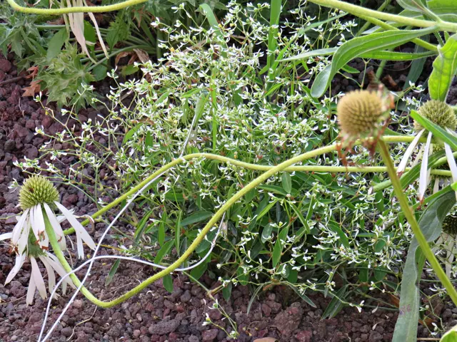 Foto: Brigitte Melder