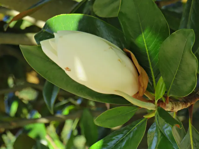 Foto: Brigitte Melder