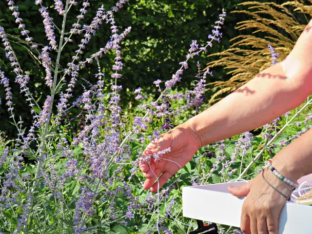 Foto: Brigitte Melder